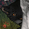 [Jaglion] Shy Adolescent (Smoke)
